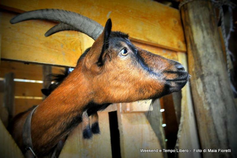 Agriturismo Slowcanda Cardella Dış mekan fotoğraf